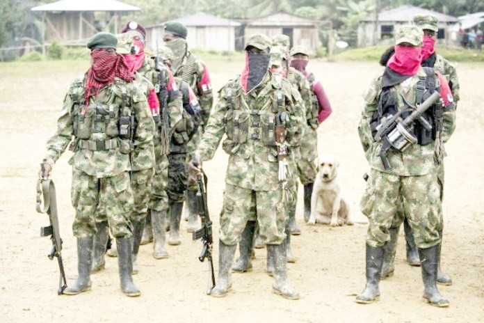 Cabecilla del ELN en Cauca abatido por Fuerza Pu%CC%81blica