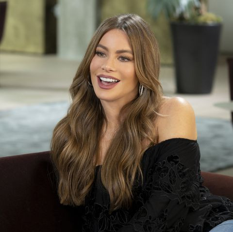 Episode 401 pictured sofia vergara news photo 1088026420 1549313601